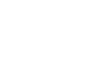 iso icon